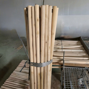Escoba de madera de eucalipto de alta calidad, elegante, ecológica, duradera, ligera, portátil, impermeable, con cerdas suaves tipo bandera para un hogar limpio. - Product Image 1