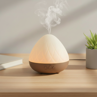 Diffuseur d'huiles essentielles électrique ultrasonique pour aromathérapie, humidificateur d'ambiance pour maison, hôtel, bureau, spa