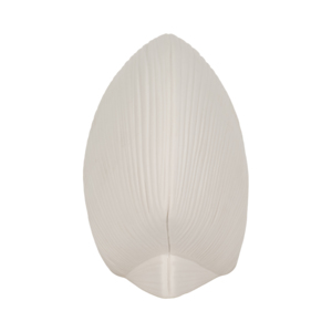Statuetta in Ceramica a Forma di Conchiglia per Arredamento Casa, Ufficio, Bagno, Ornamento Costiero, Decorazione Soggiorno - Product Image 3