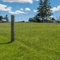 Clôture d'élevage de bovins de ferme clôture d'élevage de fil avec clôture de ferme de prairie