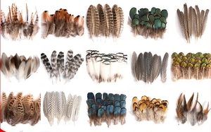 80 Plumes de faisan de couleur naturelle - Product Image 6
