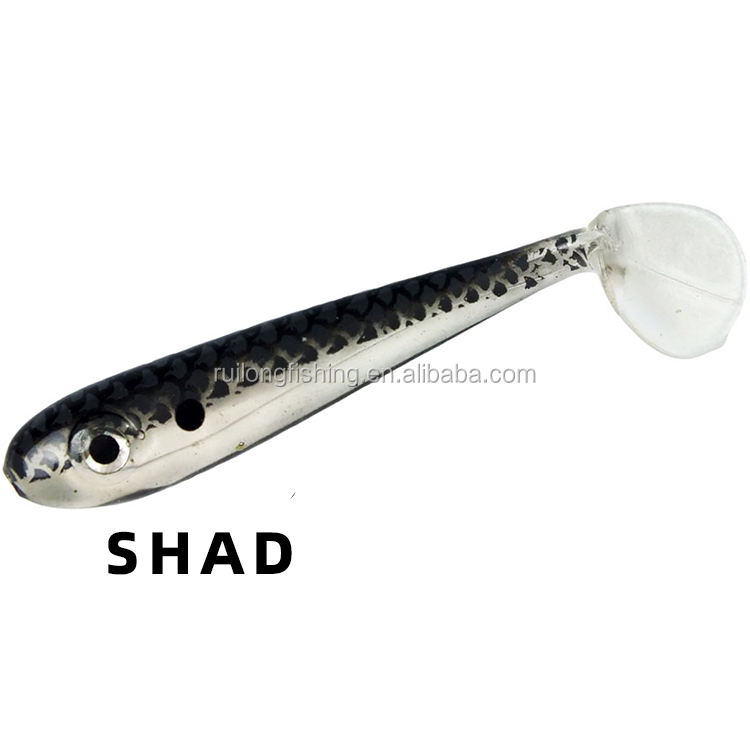 #03 Shad