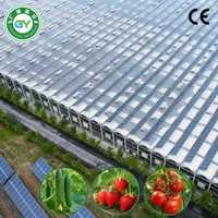 Serre agricole commerciale multi-chapelles en verre avec système hydroponique pour la culture de légumes, durée de vie de 20 à 30 ans
