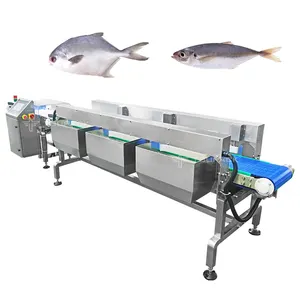 Automatic Weight Grading Machine Check Weigher Weighing Conveyor With Rejector Chicken Wing Weight Sorting Machine