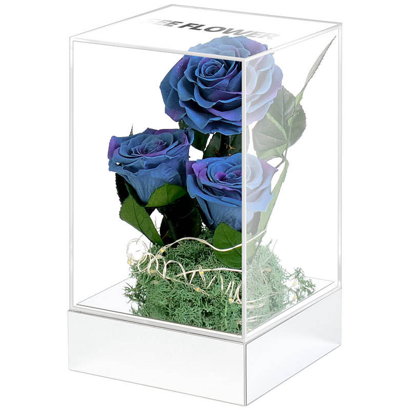 ท้องฟ้าสามดาวสีฟ้า