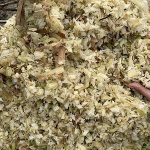 Trituradora/Astilladora de Plátanos de Alta Eficiencia con Motor de Gasolina de 3000W, Capacidad de 700kg/h y Fácil Operación - Product Image 3