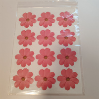 Imprimante de films comestibles pour bonbons, feuilles décoratives pour boissons, décorations de gâteaux en forme de fleurs, fleurs roses, papier sucre, décorations de boissons dissolvables