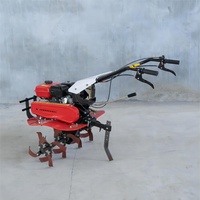 Mini Motocultor 2WD con Motor de Gasolina de 7hp para Campos Agrícolas, Huertos, Jardines y Huertos de Verduras con Implemento Gratuito