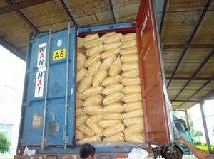 Prix de la maltodextrine biologique de haute qualité - Product Image 5