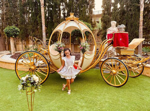 Chariot de chevaux romantique pour mariage et visites touristiques / Magnifique chariot de chevaux princesse citrouille - Product Image 2