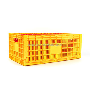 Equipo para Granjas Avícolas, Jaula <span class=keywords><strong>de</strong></span> Transporte para Huevos <span class=keywords><strong>de</strong></span> Gallina y Codorniz - 64x34x25cm - Product Image 1
