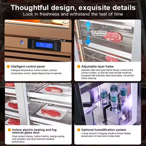 Khô ager lão hóa tuổi Cooler thịt tủ lạnh tủ lạnh hiển thị khô DRI tuổi tủ máy tự động cho nhà hàng nhà bếp - Product Image 4