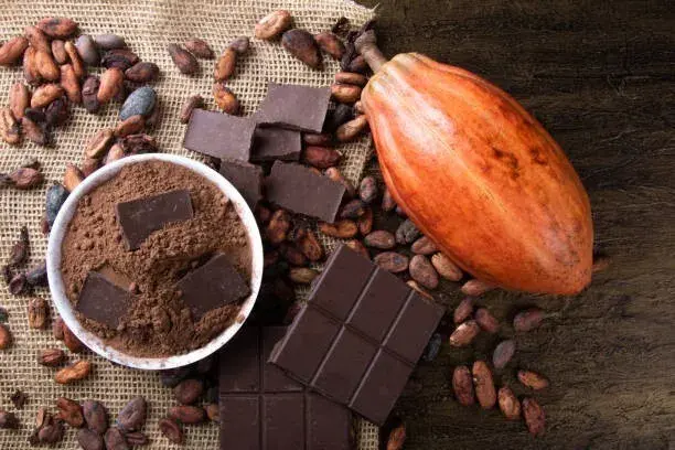 चॉकलेट और पेय पदार्थों के लिए पानी में घुलनशील खाद्य रंग शुद्ध कोको शैल अर्क पाउडर कच्चा कोको पाउडर