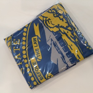 Drapeau fanion Nebraska 3x5FT en tissu Oxford 210D brodé, durable et résistant, avec les 50 drapeaux des États américains – Offre Spéciale - Product Image 5