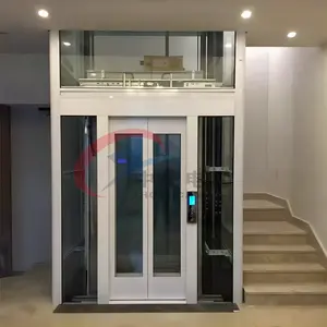 Commercial Home Electric Elevator 4-6 Persons 400kg 600kg Traction Passenger Elevator 3 Floor Residential Villa Lift