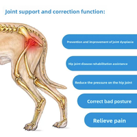 Attelle de soutien pour dysplasie de la hanche canine, équipement de récupération pour déchirure du ligament croisé antérieur, fournitures orthopédiques pour soins articulaires canins en gros, directement de l'usine