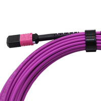 Kabel Patch MPO terlaris 12/24 kabel bagasi serat Core | Jumper MTP kepadatan tinggi harga 3m