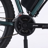 Sepeda Listrik Gunung Tanpa Sikat Baterai Lithium Grosir Produsen 48V 350W Sepeda Off-road Dewasa Kecepatan Variabel