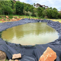 Geomembrana de HDPE Lisa Profesional al por Mayor, Rollo de Geomembrana de HDPE Lisa de 2 mm para Piscifactorías