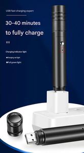 Pointeur laser vert d'extérieur, jouet pour chat, recharge USB, lampe torche, stylo rouge, camping portable, laser haute puissance - Product Image 4
