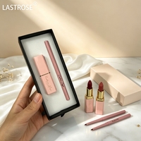 Ensemble de rouges à lèvres et crayons à lèvres en gros sous marque privée pour un style de maquillage quotidien – Ensemble de rouges à lèvres mats purs et hautement pigmentés