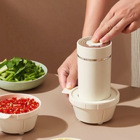Robot culinaire multifonctionnel 3 bols 2 lames, mini hachoir à ail, mixeur, hachoir à viande, préparateur de repas pour bébé