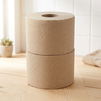 Papier toilette en bambou biodégradable, hypoallergénique, doux, résistant, sans peluches, éco-responsable, taille personnalisée OEM ODM pour la maison