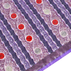 <span class=keywords><strong>Biolife</strong></span> Coussin chauffant infrarouge en améthyste naturelle Ion négatif Photon Pulse Champ électromagnétique Thérapie magnétique Corps entier 1 an - Product Image 4