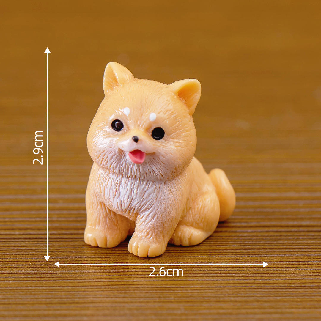 Numéro six Shiba Inu