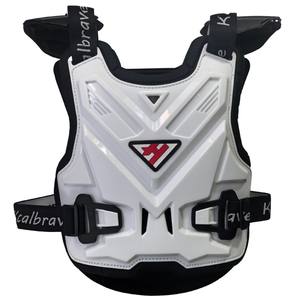 سترة واقية للشتاء قابلة للتخصيص لراكبي الدراجات النارية من PP مضادة للسقوط تسمح بمرور الهواء مرنة واقية للرجال للسلامة الرياضية - Product Image 2