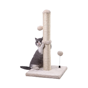 Modern basit krem kedi ağacı kulesi Sisal kayış asılı top yavru kedi ile lüks temel kedi tırmalama sütunu tırmalama sütunu - Product Image 4