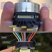 Moteur servo sans balais 12V 24H055M020 avec carte de commande intégrée, régulation de vitesse PWM, encodeur de signal 100 lignes pour appareils électroménagers