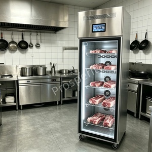 Armoire de décongélation automatique à air forcé en acier inoxydable, haute productivité, écologique, garantie <span class=keywords><strong>1</strong></span> an, pour fruits de mer et boucherie - Product Image 5