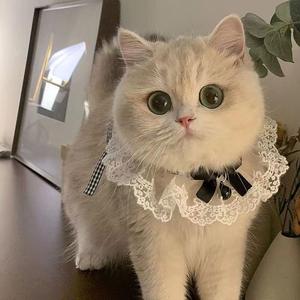 <span class=keywords><strong>Collar</strong></span> lindo gato fresa con campana al por mayor <span class=keywords><strong>Collar</strong></span> para mascotas babero Bandana <span class=keywords><strong>Collar</strong></span> para perro mascota - Product Image 4