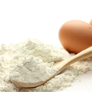 Supply Wholesale Egg White Protein Albumen Powder Organic Low Price