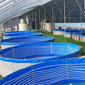 RAS Fish Farming System/fish Farming/circular Aquaculture System Fish Farm