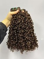 Extensions de Cheveux Humains Bouclés Pixie, Tissages Super Double Drawn Afro Kinky Curly, Extensions de Cheveux Humains Jerry Curly