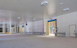 ผักแช่แข็งด้วยข้าวโพดแครอทถั่วตัดถั่วสำหรับ feezer อย่างรวดเร็ว - Product Image 3