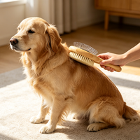 Brosse de toilettage pour animaux de compagnie en bois naturel, double face, fibres de sisal et brosse à picots métalliques pour chiens et chats, brosse démêlante pour animaux