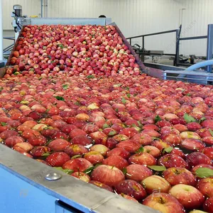 Kommerzielle Apfelbirnen-Fruchtsaft presse Produktions linie Verarbeitung maschine