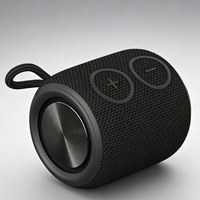 Mini-enceinte sans fil TWS RGB V5.3 étanche IPX7 avec micro intégré pour ordinateur et téléphone portable – Vente en gros audio