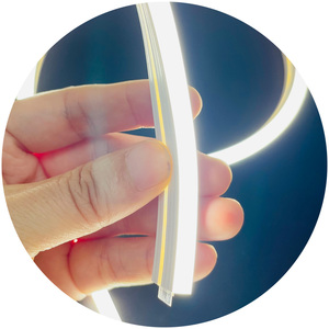 3000k 4000k 6000k <span class=keywords><strong>Neon</strong></span> Flex <span class=keywords><strong>12v</strong></span> 6mm 6x12s Silicone <span class=keywords><strong>Neon</strong></span> Light Strip Tube et Led 24V Armoire Flex <span class=keywords><strong>Neon</strong></span> <span class=keywords><strong>12v</strong></span> pour Cabinet Placard - Product Image 6