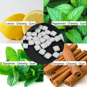 Eco Friendly Natural Chewing Gum Sugar Free Biodegradable Chewing Gum Mint Lemon Caffeine Cinnamon Gum