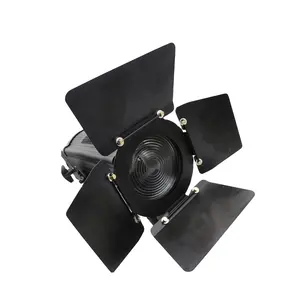 LED 200Watt Kamera Studio Fotografi Siang Hari Film Video Bi-color 200W COB Putih Fresnel Spot Lampu dengan Barndoor RGBW Opsional