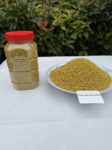 Polen de Abeja de Colza en Polvo Puro al por Mayor - Grado Alimenticio, Suministro a Granel con Empaque Estándar a Precio Competitivo - Product Image 4