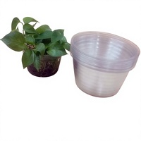 Soucoupe pour pot de plantes en plastique recyclable, soucoupe transparente pour pot de plantes