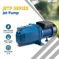 Pompe à eau à jet BLUESEA à haute pression, auto-amorçante, en acier au carbone, moteur 220V, pour l'irrigation agricole