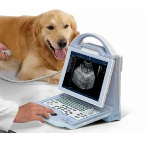 Menselijke En Dierlijke Draagbare Ultrasound Scanner Machine Zwart En Wit Dierenarts Ultrasound Scan Goedkope Prijs KX5600