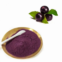 Prix de gros OEM/ODM poudre d'extrait de fruit d'açai de qualité alimentaire certifié GMP supplément de fruit naturel dans un sac d'emballage