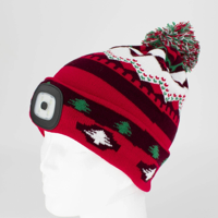 Bonnet de Noël LED pour adulte, tricoté avec pompon, rechargeable par USB, chaud, en acrylique, pour l'hiver, les fêtes et l'extérieur